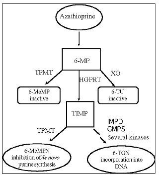 Azathioprine